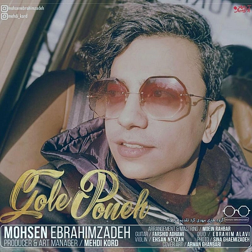 آهنگ جدید محسن ابراهیم زاده به نام گل پونه